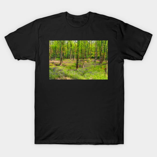 Bluebell Woodland T-Shirt by Graz-Photos